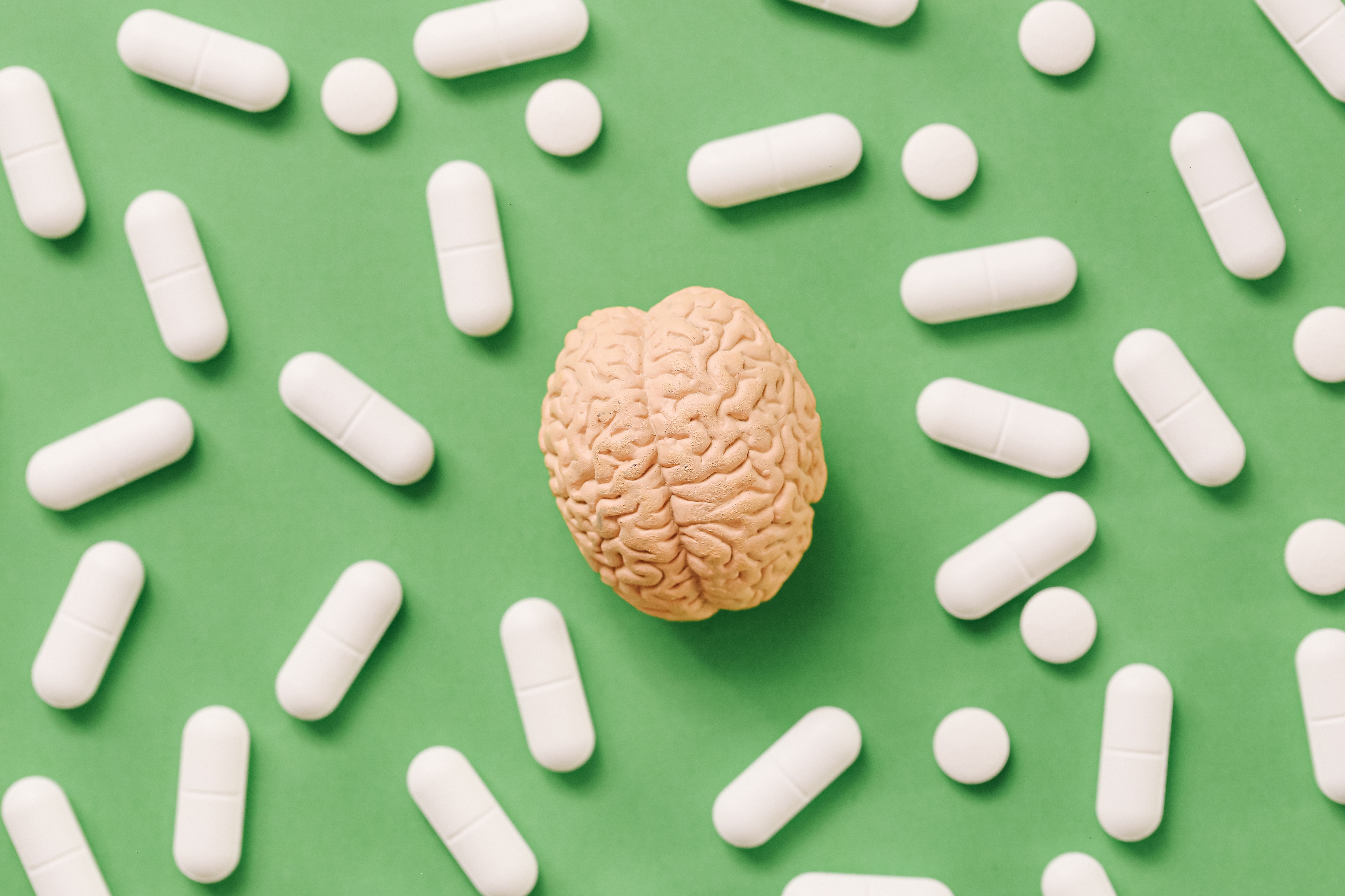 Magnesium May Not Reach Your Brain, Despite Supplement Label Promises — Wired, Toronto Schools news
