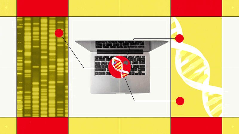 Hugging Face’s New AI Biology Model Lets You Chat With DNA — Wired, Toronto Technology news